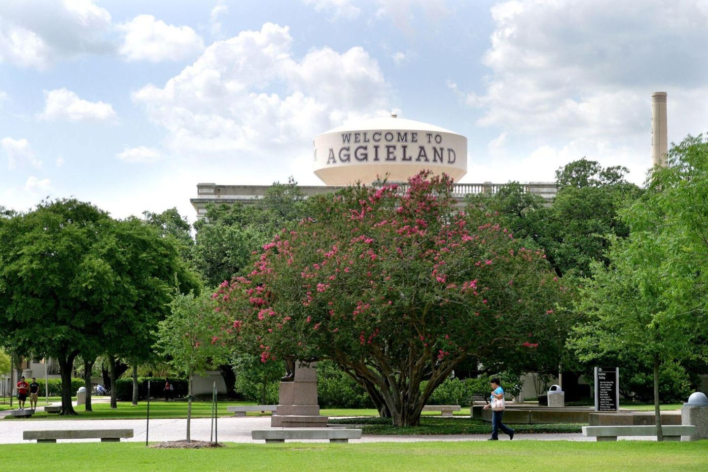 Texas A&M System removes DEI policies from hiring, admissions