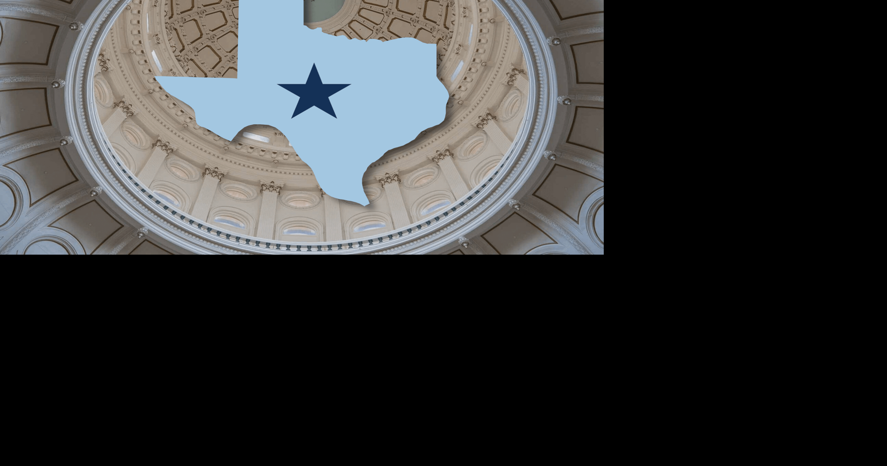 Texas Democrats Celebrate Strategy in State Senate Victory, Look ...