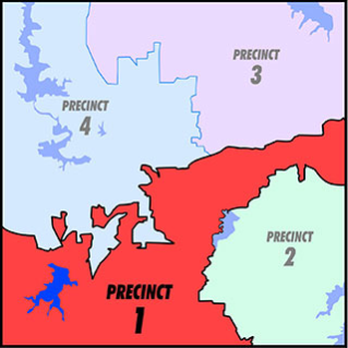 Roderick Miles Defeats Kathleen Hicks in Democratic Runoff for Tarrant ...