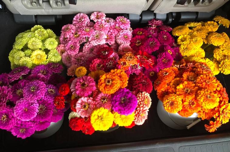 Open & Shut Haw River Fruit Co. now open with flowers, fruit and eggs for sale News