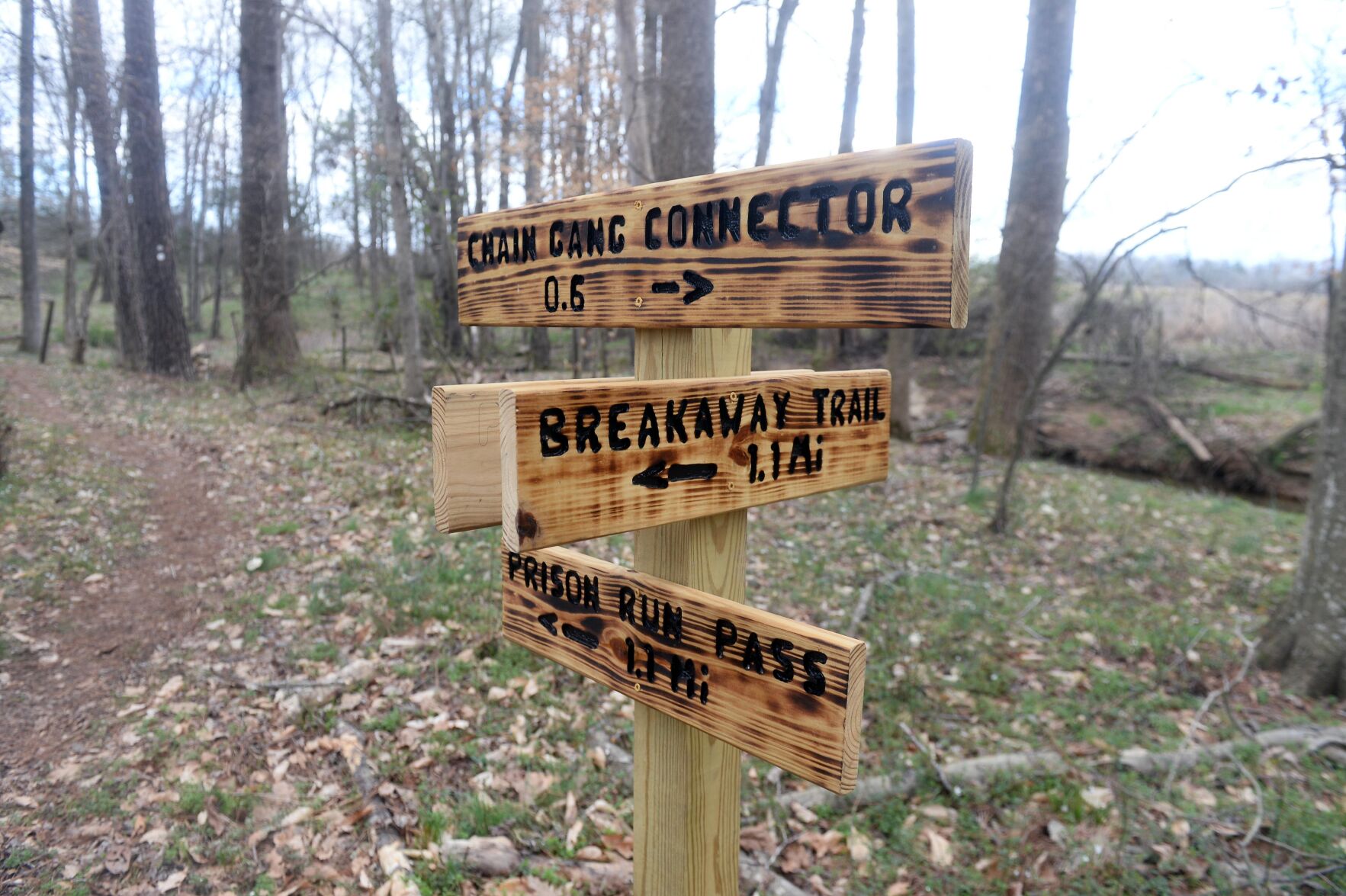 PHOTOS New Mountain to the Sea - 649a4161170d9.image 