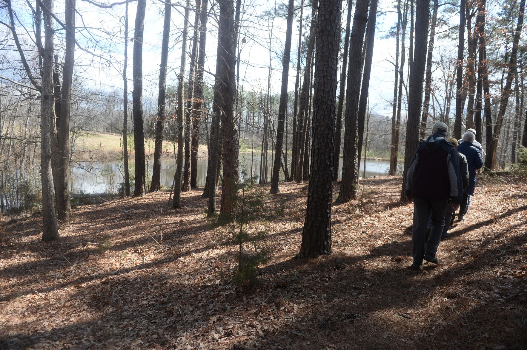 PHOTOS New Mountain to the Sea - 649a415a15cae.image 