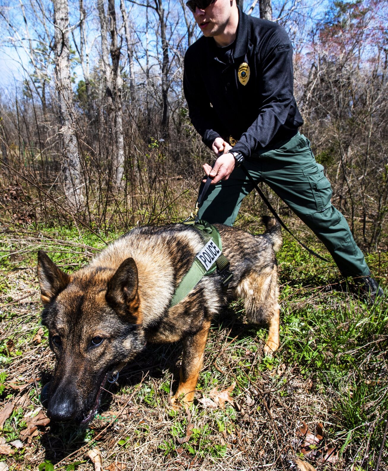 New K9s join Gibsonville police News