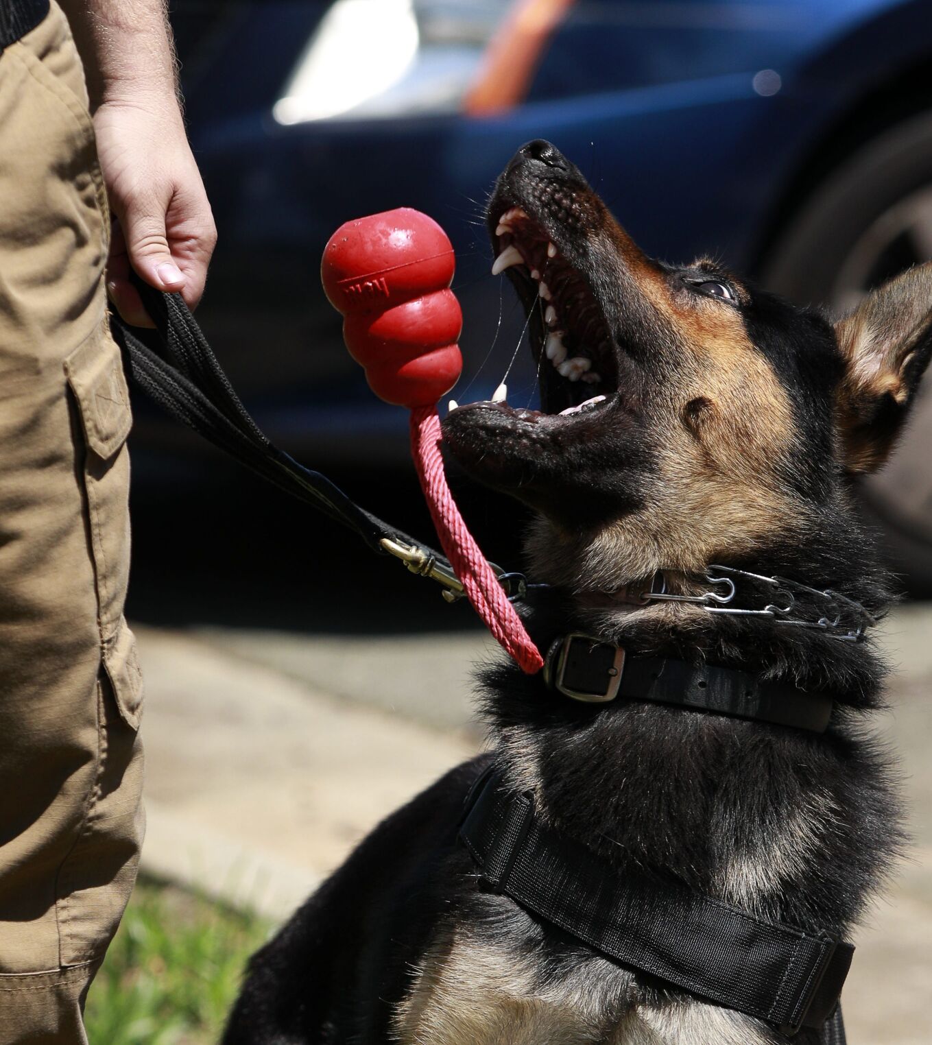 The Times News Burlington North Carolinapopup Modals - 54eouts