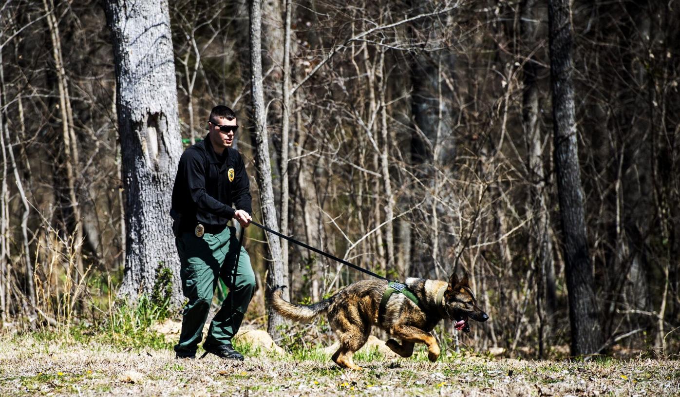 New K9s join Gibsonville police News