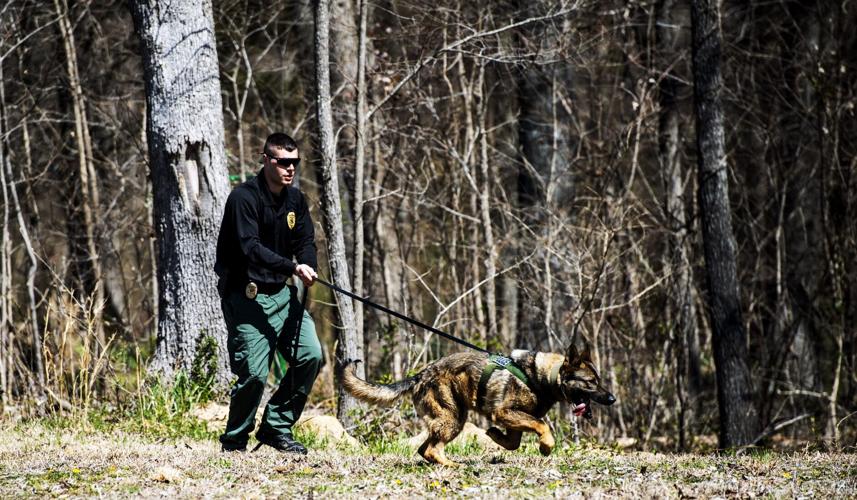 New K9s join Gibsonville police News