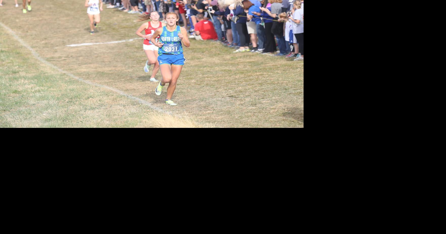 Local runners put in great effort in cross country state meet | Sports ...