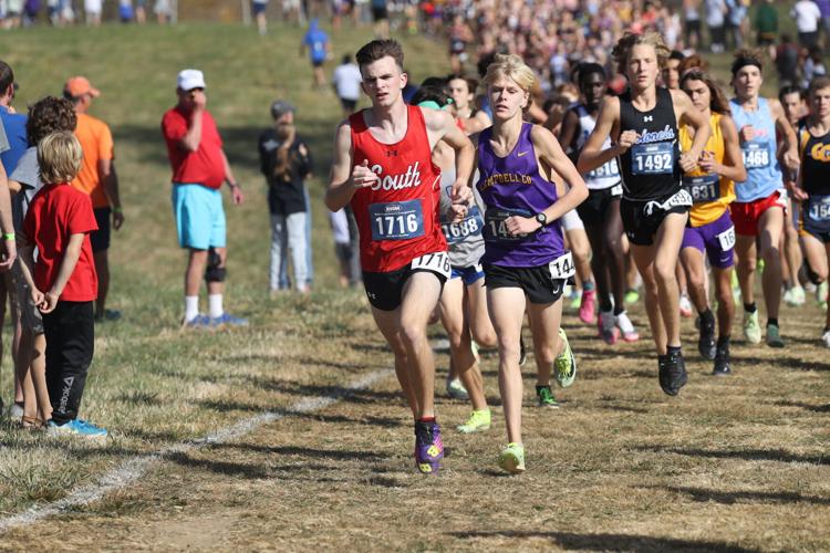 Local runners put in great effort in cross country state meet | Sports ...