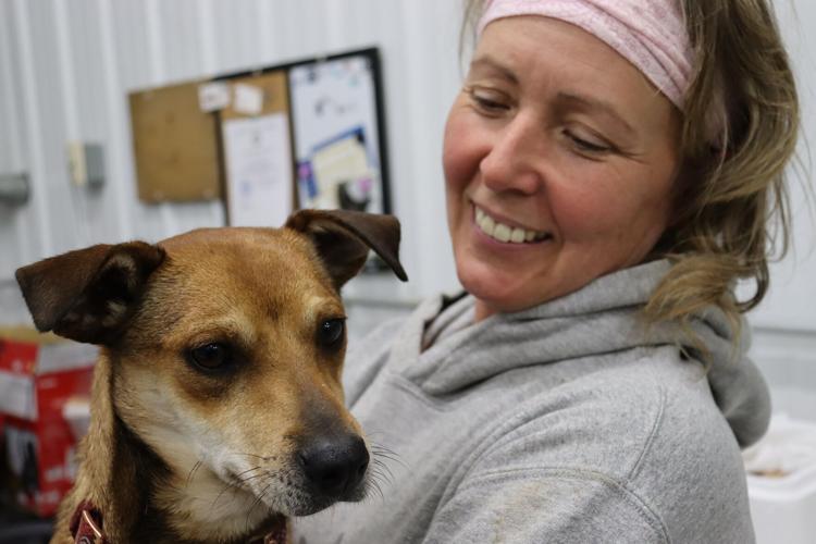 From The Shelter To Your Heart KnoxWhitley Humane Association News