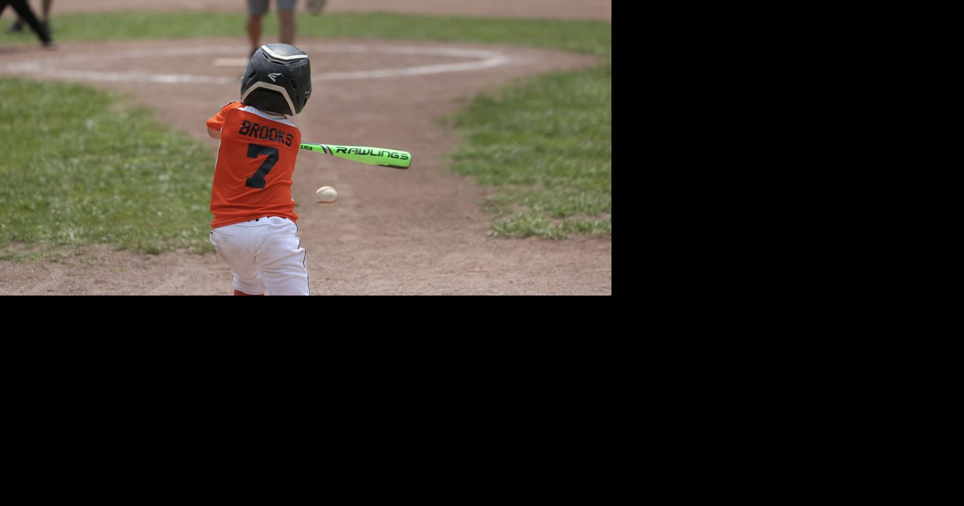 8U Seymour Diamondbacks win state championship - Seymour Tribune