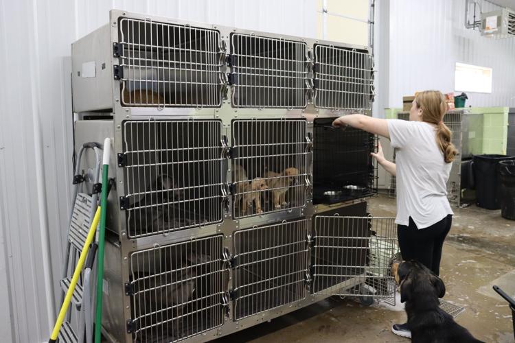 From The Shelter To Your Heart KnoxWhitley Humane Association News