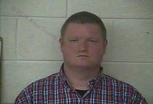 Man pleads guilty in child sexual exploitation case | Local News