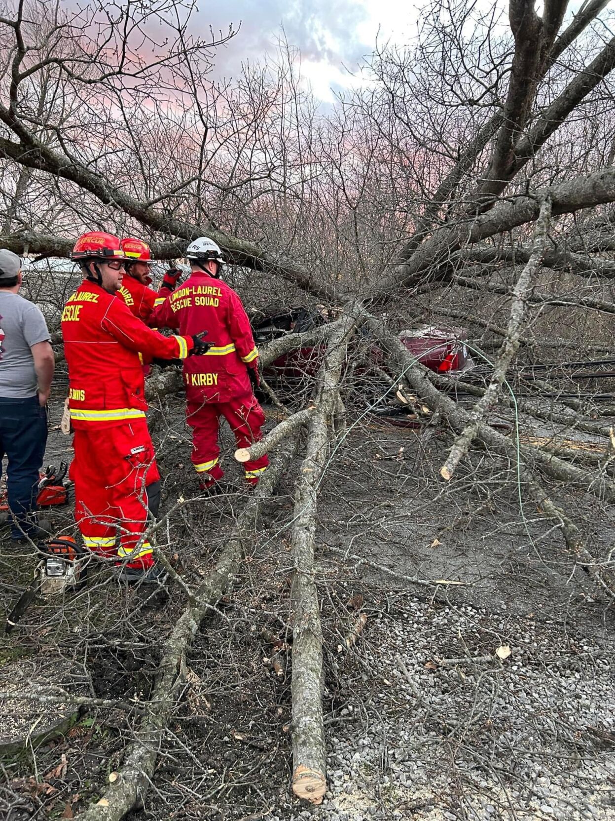 Driver gets trapped under tree in two-vehicle crash | News ...