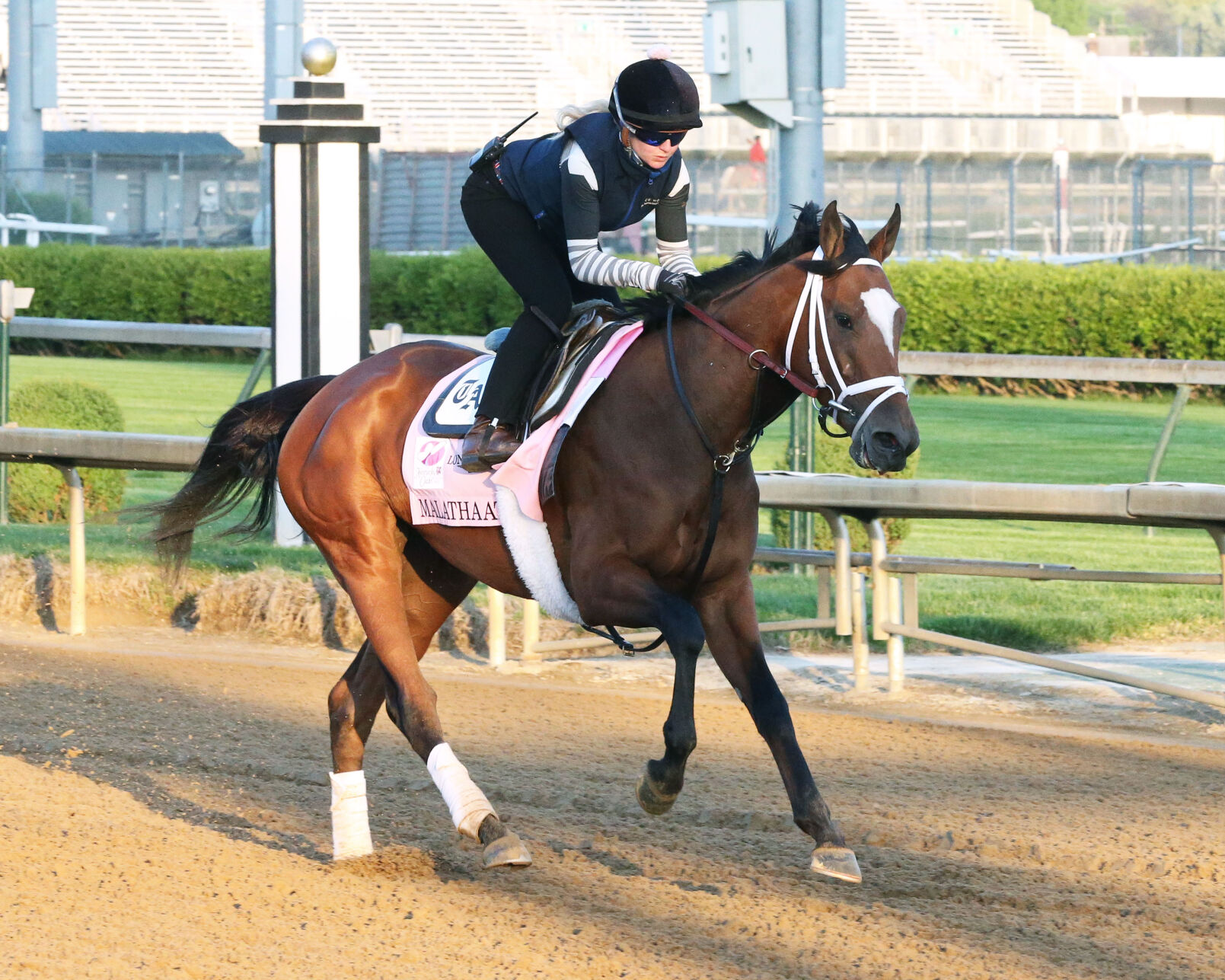 HORSE RACING Malathaat favored in Kentucky Oaks 147 Kentucky