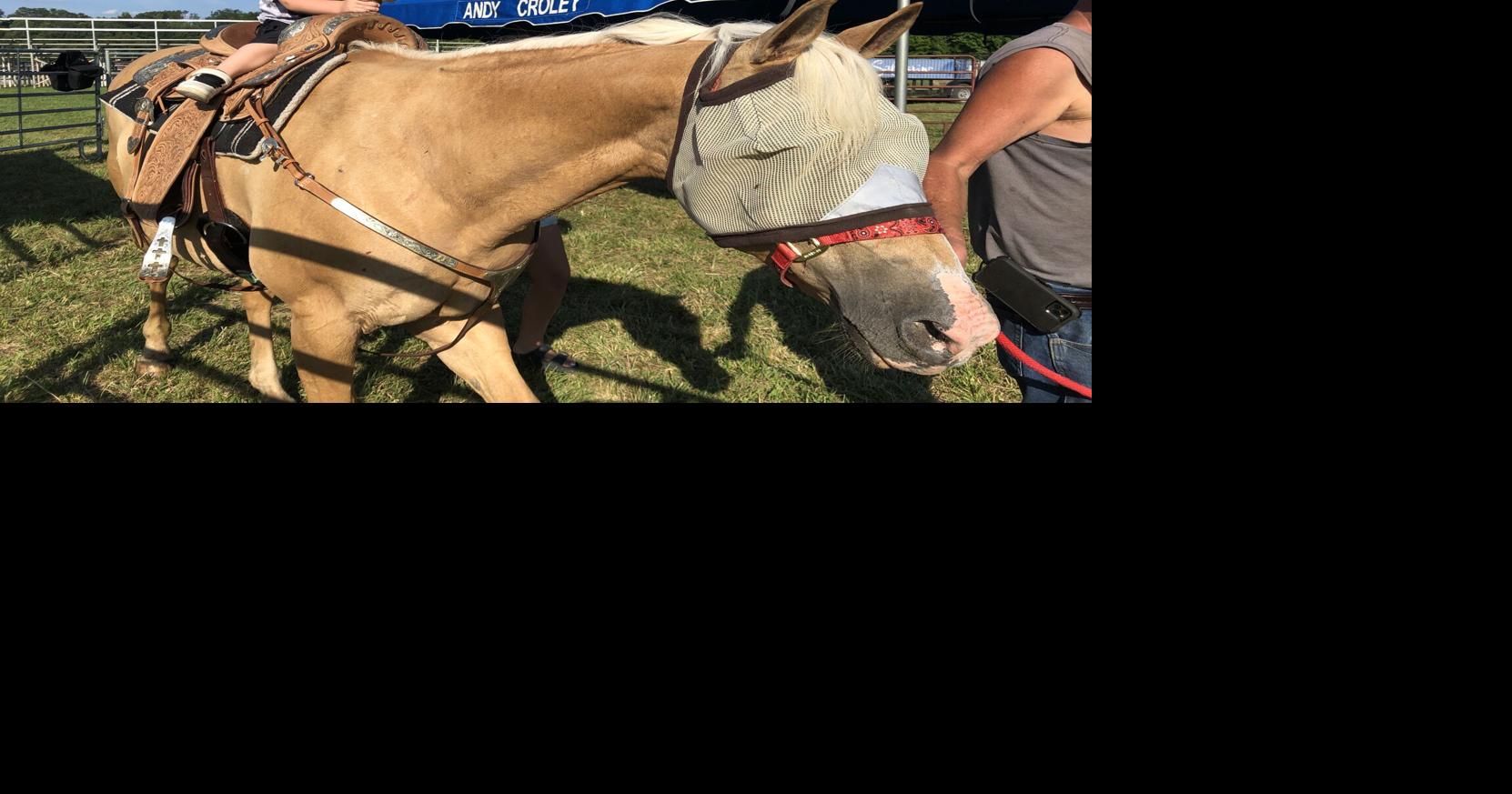 Whitley County Fair gets underway Community