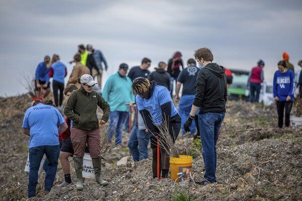 Cumberlands celebrates Arbor Day by planting trees - Vimarsana News