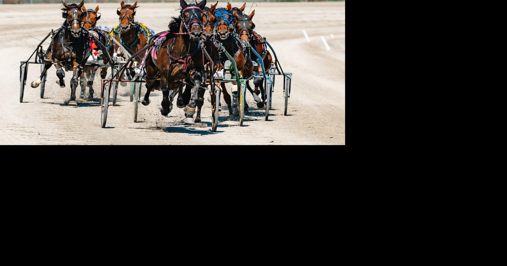 Cumberland Run kicks off third season of live harness racing ...