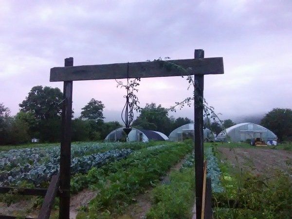 sally gap farms pumpkin patch