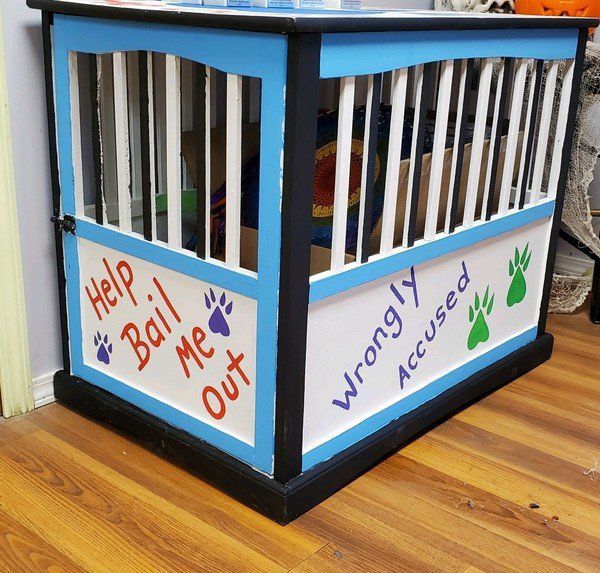 Animal shelter hosting Halloweenthemed adoption event Local News