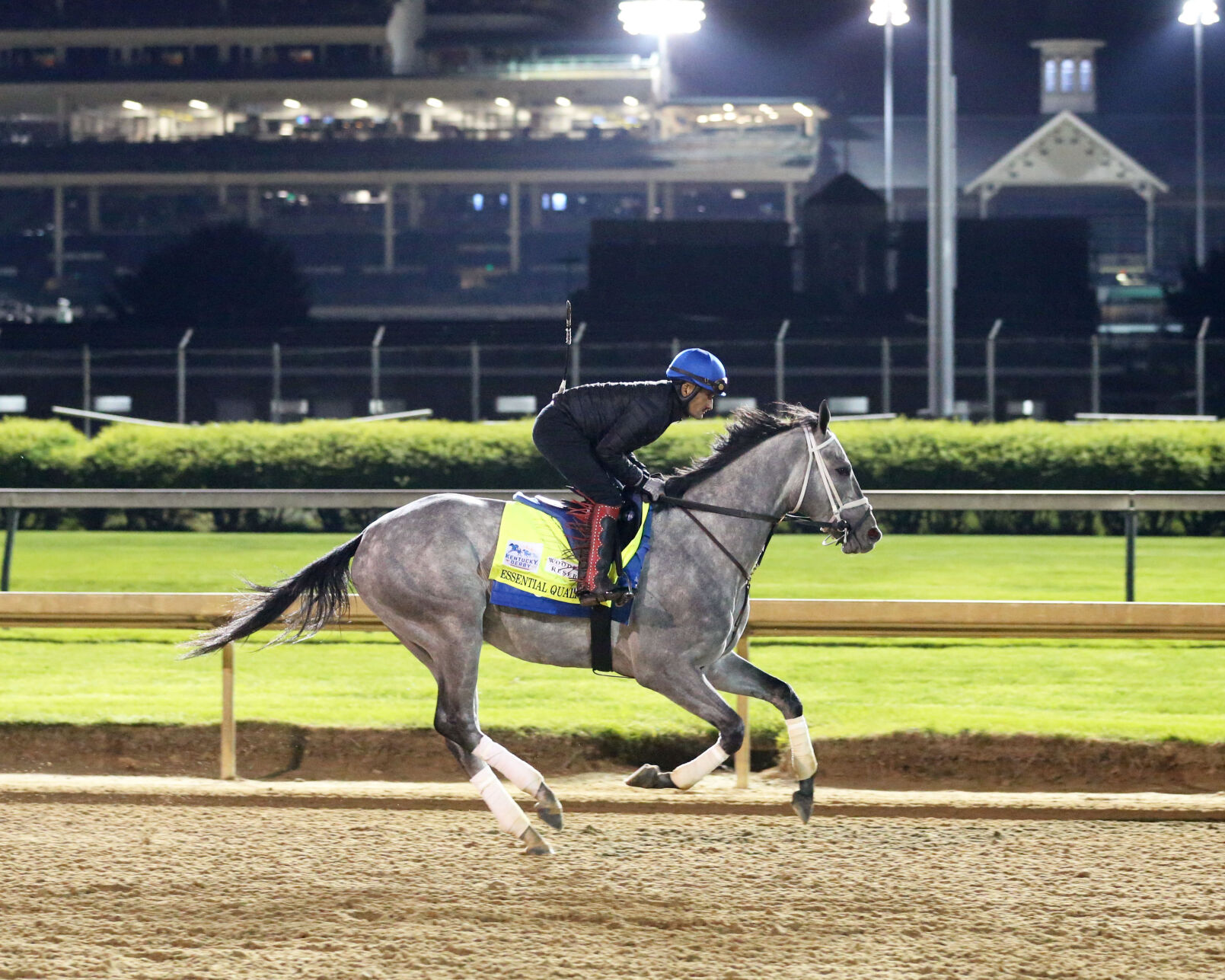 HORSE RACING: Favored Essential Quality draws post 14 - Vimarsana News
