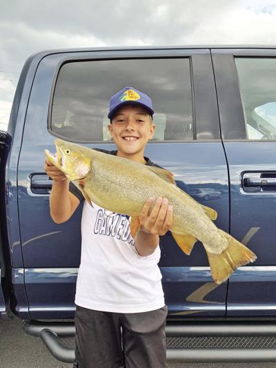 New Tennessee state record for Cutthroat Trout confirmed | Community ...