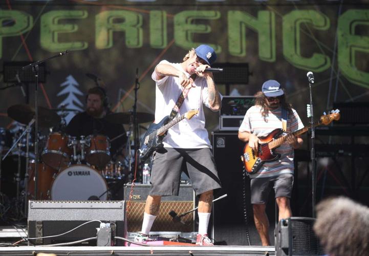 The Dry Diggings experience Fourday reggae music festival brings many