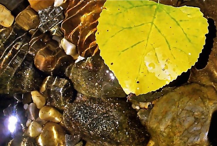 New photography exhibit “Everyday Sacred Transmitting Life” opens