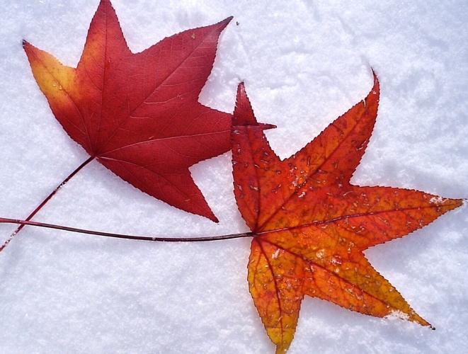 New photography exhibit “Everyday Sacred Transmitting Life” opens