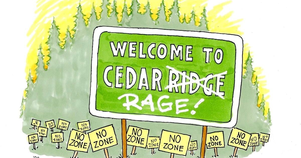 Ideas & Opinions — R.L. Crabb: It takes a village idiot