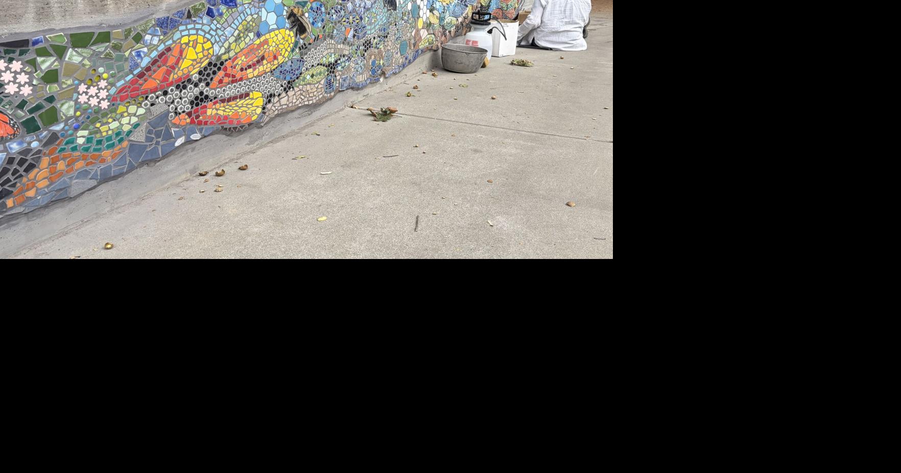 Colorful mural taking shape on South Pine in Nevada City