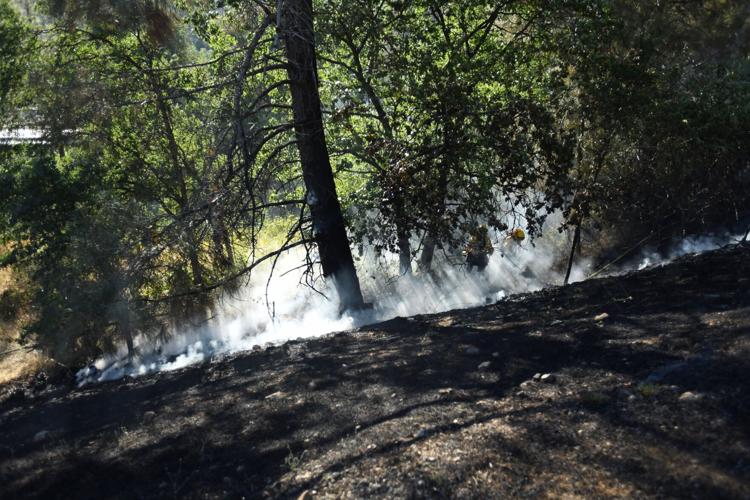 Wind driven fire in Grass Valley extinguished quickly (PHOTO GALLERY/VIDEO) News