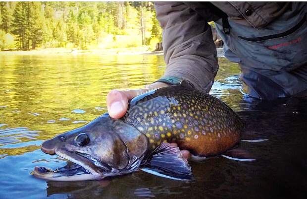 Casting hope: Fly Fishing Film Tour Benefits Nevada County Cast Hope  Chapter, Entertainment