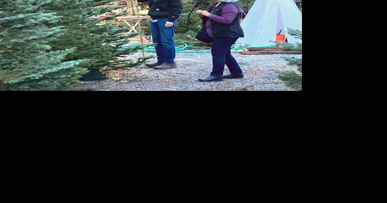 ‘We are your silvertip Christmas tree destination’ Family run tree lot