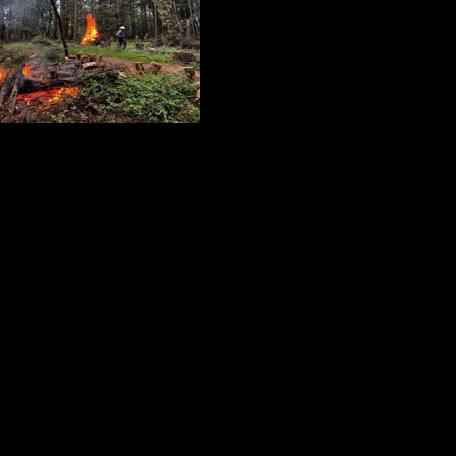 Nevada City Council receives update on wildfire fuel reduction efforts