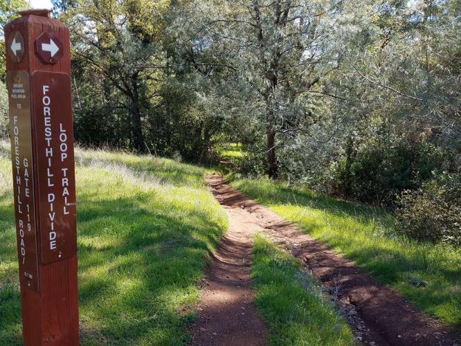 Mary West Foresthill Divide Loop Trail Lifestyles