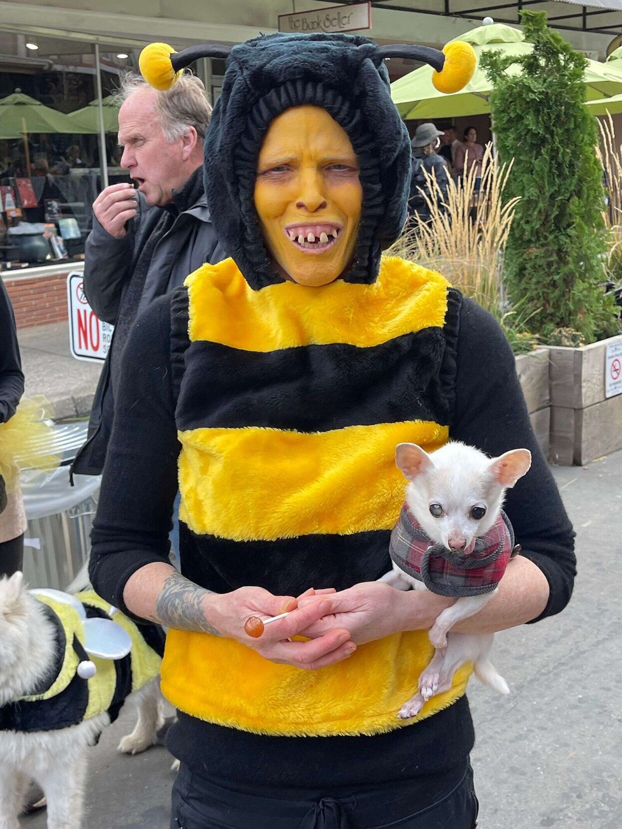 Detroit Lions Mascot Dog's Costume