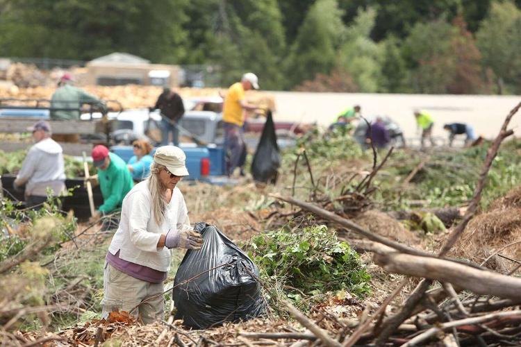 Creating a safer community Free green waste event draws many
