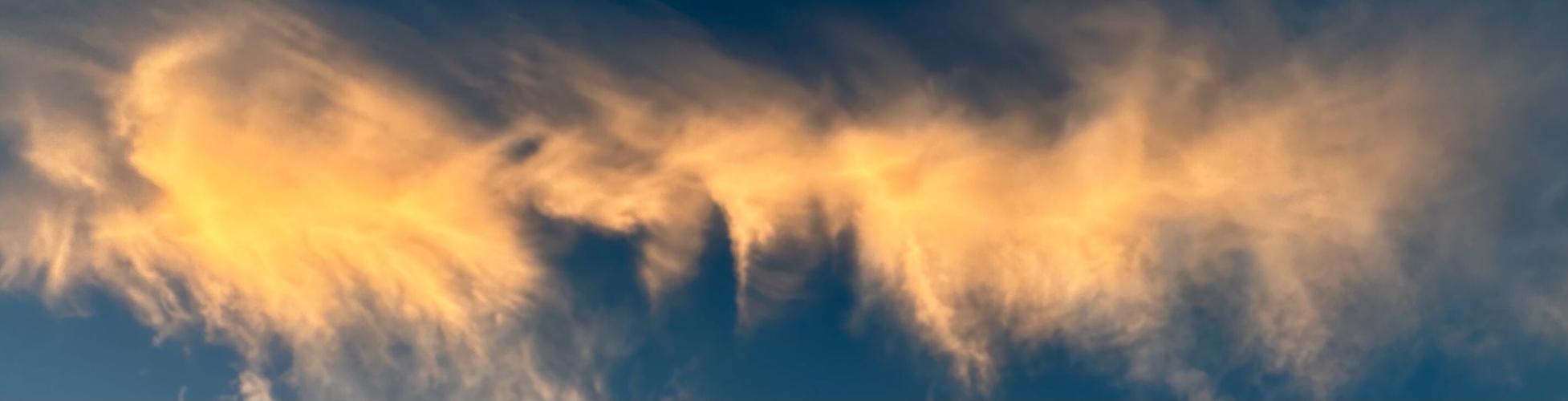 Nevada County Captures Getting a haircut at Stand Down Multimedia