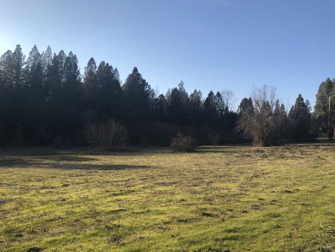 Whiting Meadows Project Offers True Affordable Housing Option in Grass