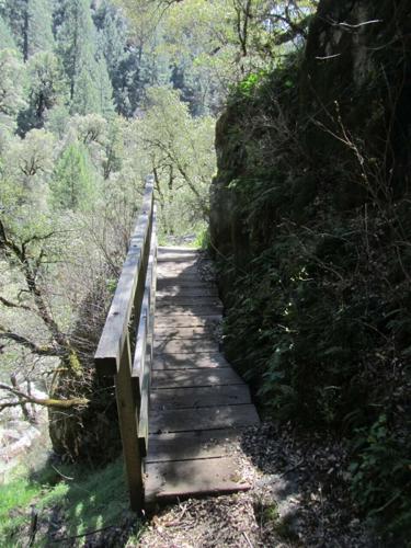 Humbug Creek Trail re-opened despite COVID challenges