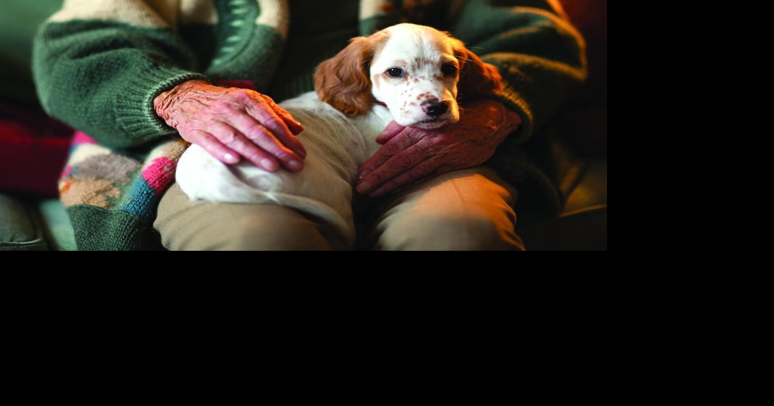 Joan Merriam: Your dog's gut health