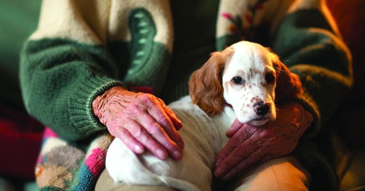 Joan Merriam: Your dog's gut health
