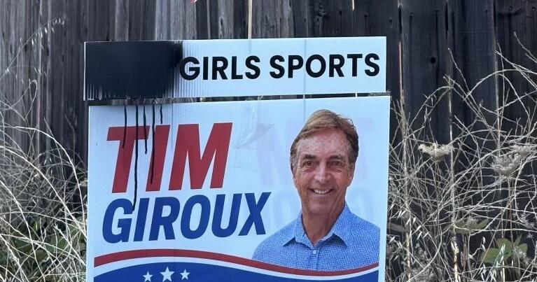 Signs of the times? Local campaign signs vandalized and go missing