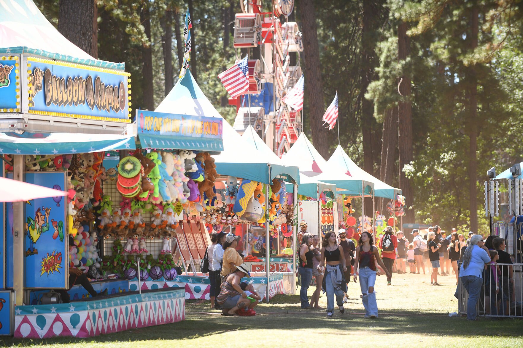 Country Roots And Cowboy Boots: The Nevada County Fair Is Almost Here ...