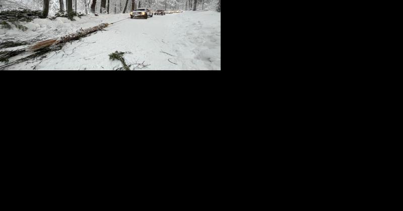 Storm damage causes power outages across Nevada County - Vimarsana News
