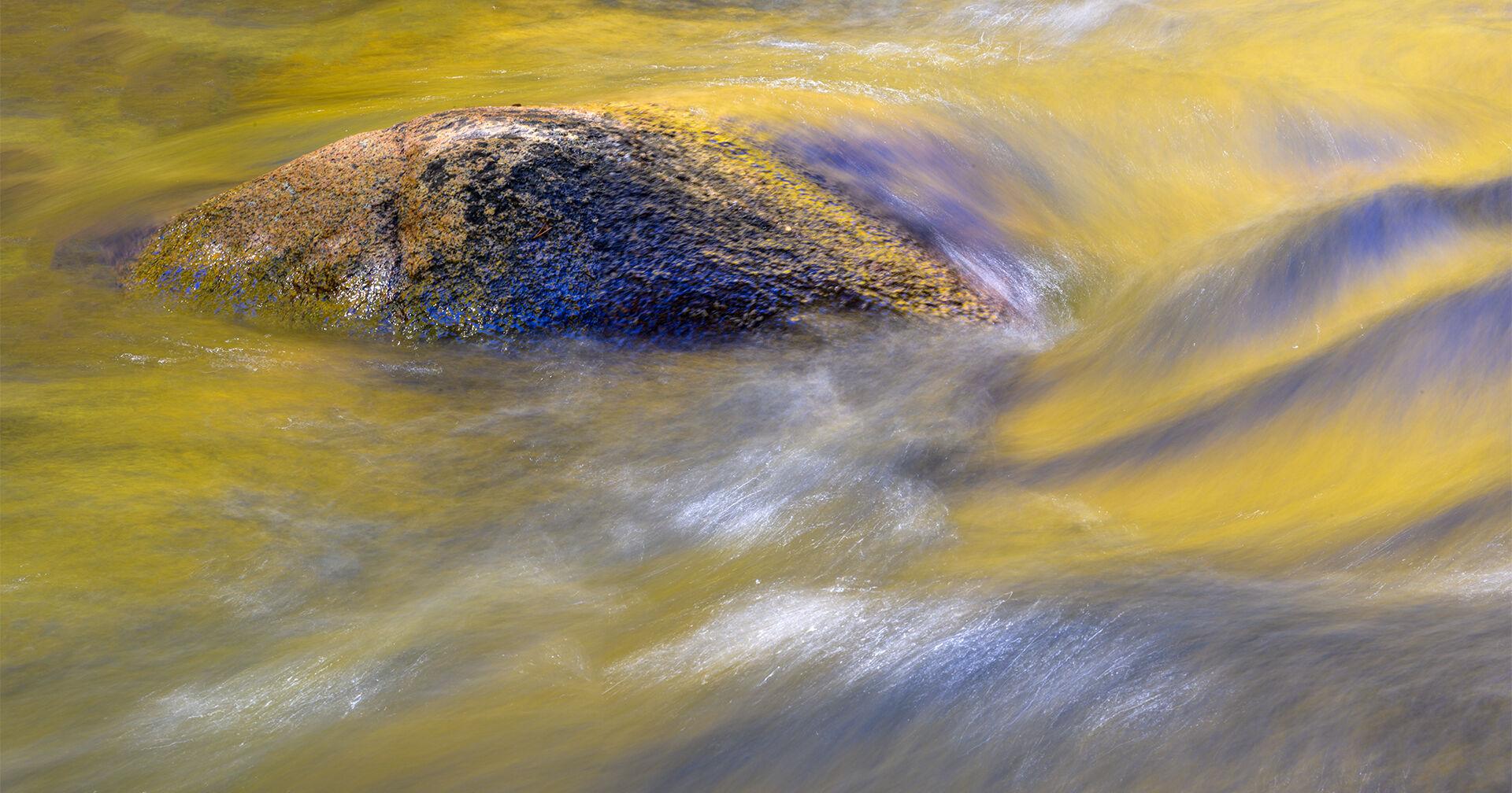 Celebrate water with a photo exhibition at The Center for The Arts - Vimarsana News