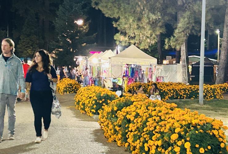 what-s-happening-at-the-fairgrounds-updates-from-nevada-county-fairgrounds-ceo-news