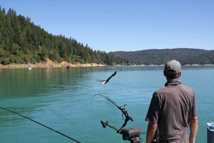 Denis Peirce A deep dive into kokanee fishing Lifestyles