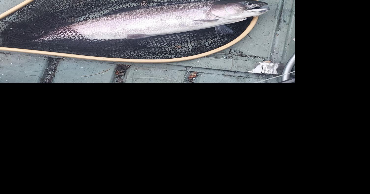 Denis Peirce: Fishing in the heat of summer | Lifestyles | theunion.com