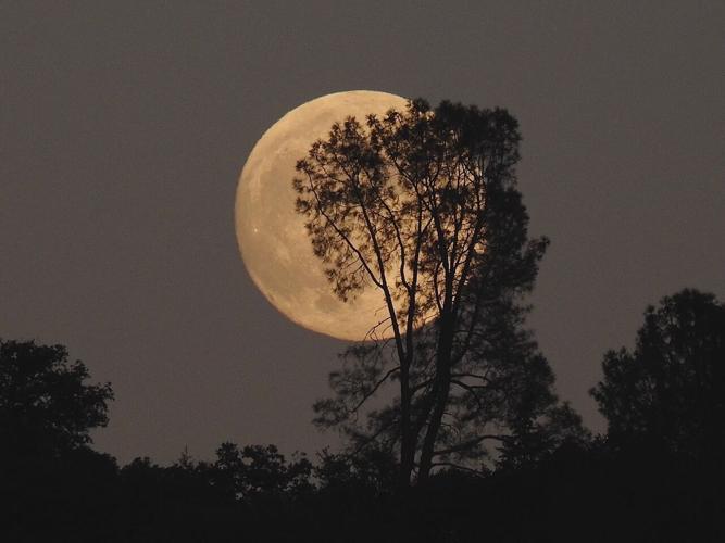 Nevada County Captures JCP celebrates the 4th of JULY!!! Multimedia